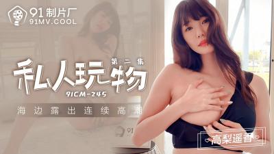 【91制片厂】91CM-245 私人玩物 第二集-高梨遥香