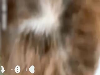 男友喝多了 和他兄弟在他脸上搞 男友喝多了 和他兄弟在他脸上搞